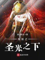 （海贼王同人）海贼之圣光之下